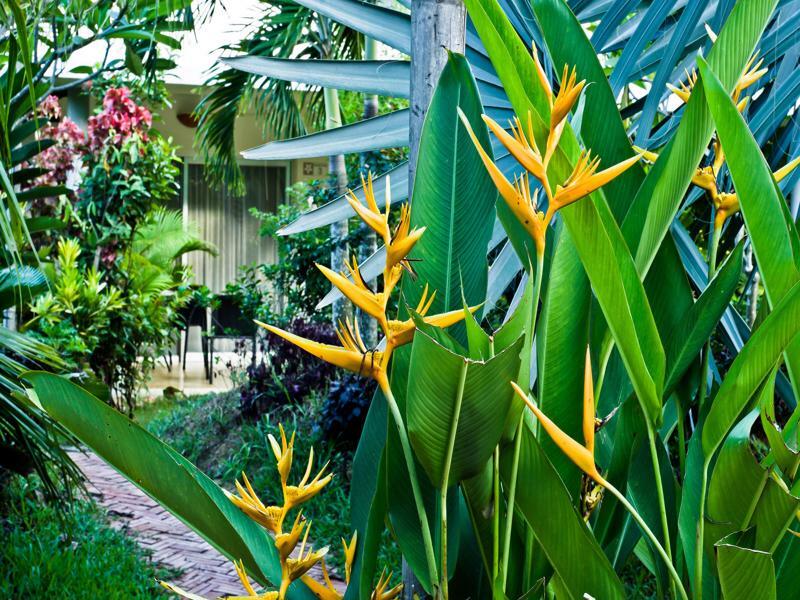 Battambang Resort Exterior photo